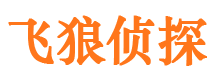 龙湾侦探公司